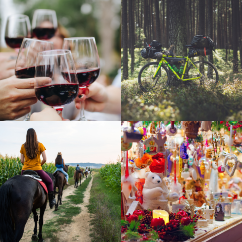 eventi e sagre Tarquinia